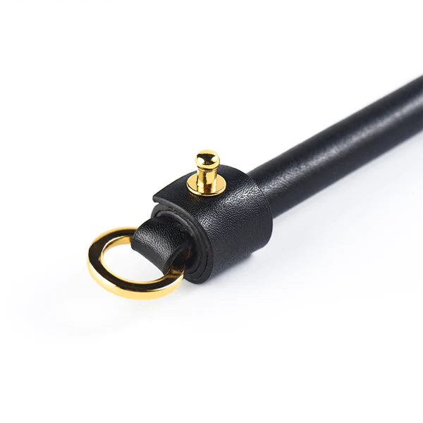 Discipline Leather Riding Crop