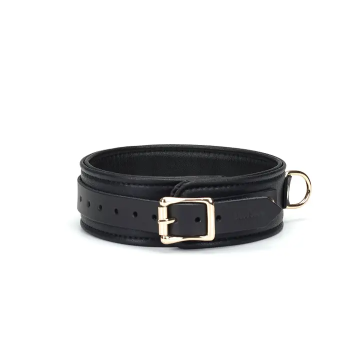 Dark Secret Leather Collar With Leash