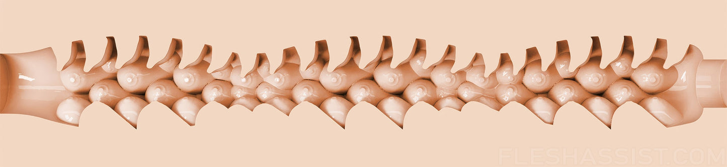 Sho Akuma Fantasy Fleshlight Masturbator