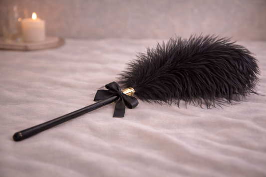 Whispered Teases and Feathered Dreams — The Ostrich Feather on a Stick