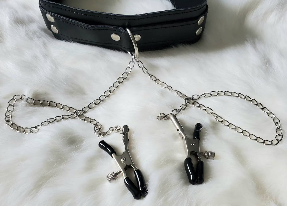 Bold Accessories for Bold Spirits: Leather Collar with Adjustable Clamps