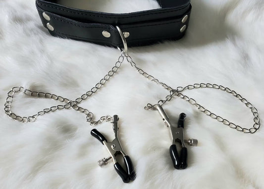 Bold Accessories for Bold Spirits: Leather Collar with Adjustable Clamps
