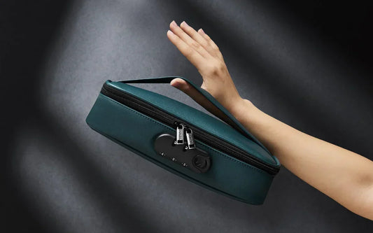 Traveling With Vibrators