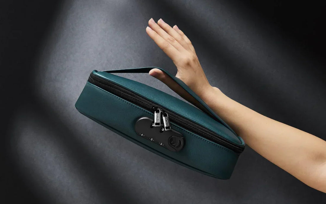 Traveling With Vibrators