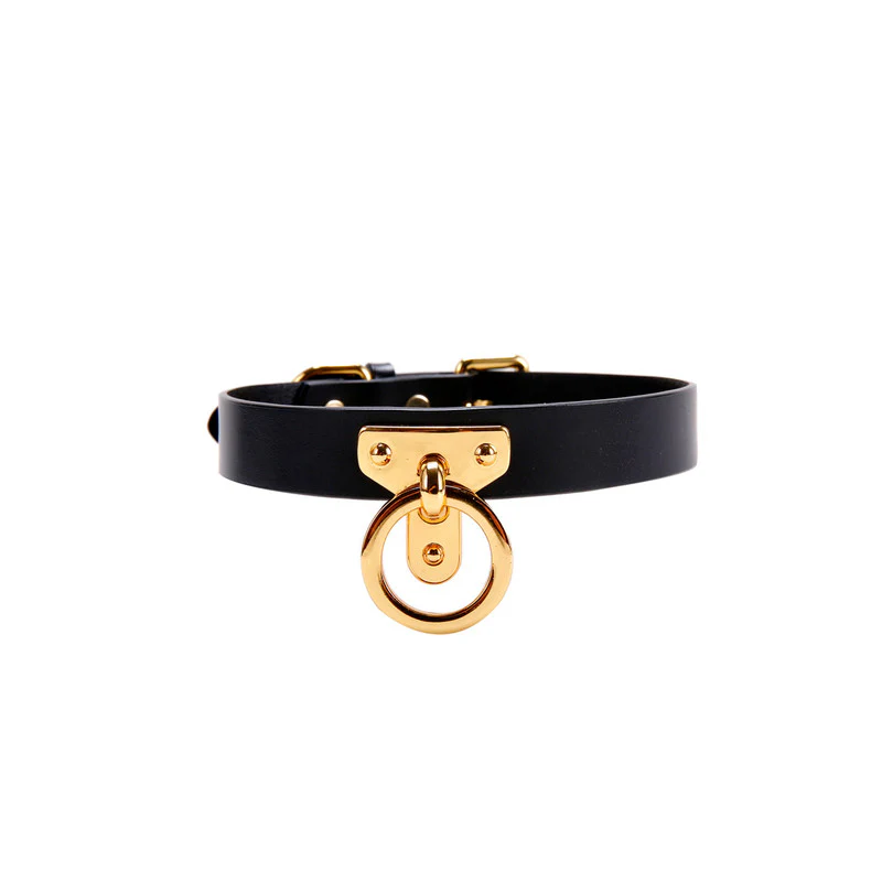 Discipline Leather Choker