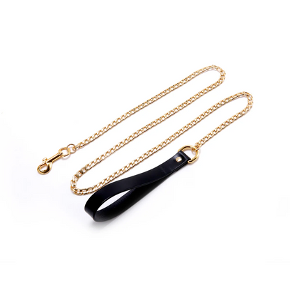 Discipline Leash