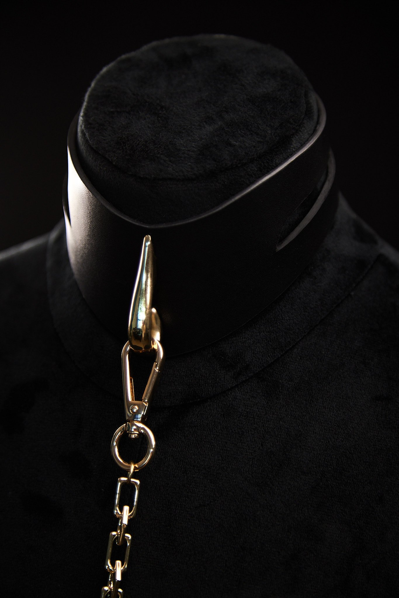 Liquide D'Or Leather Collar and Leash