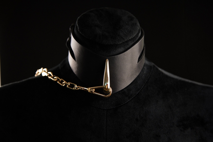 Liquide D'Or Leather Collar and Leash