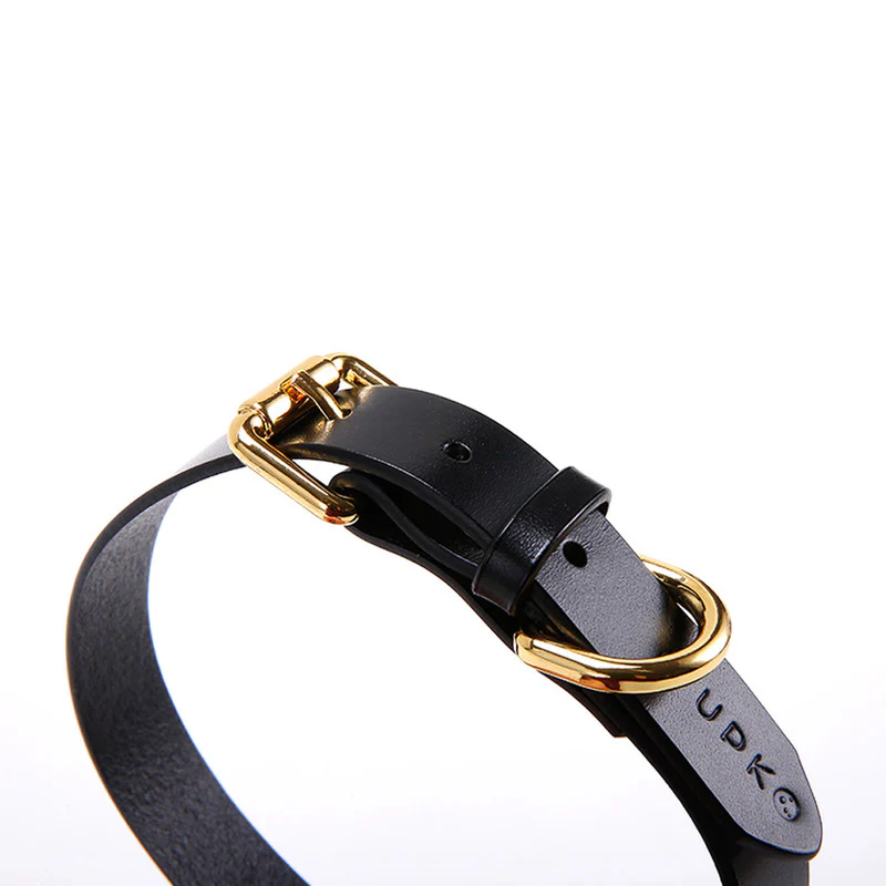 Discipline Leather Choker