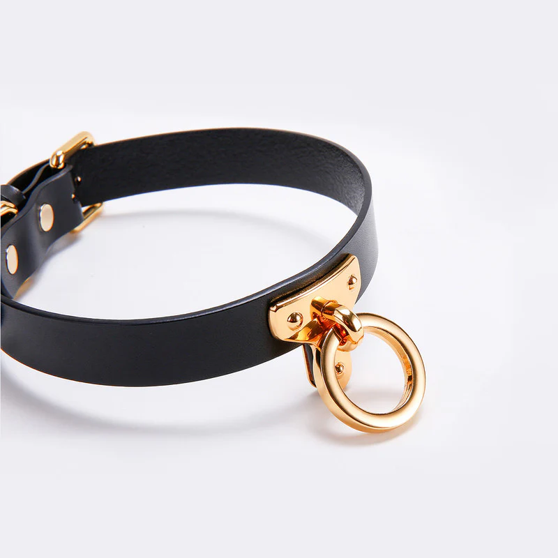 Discipline Leather Choker