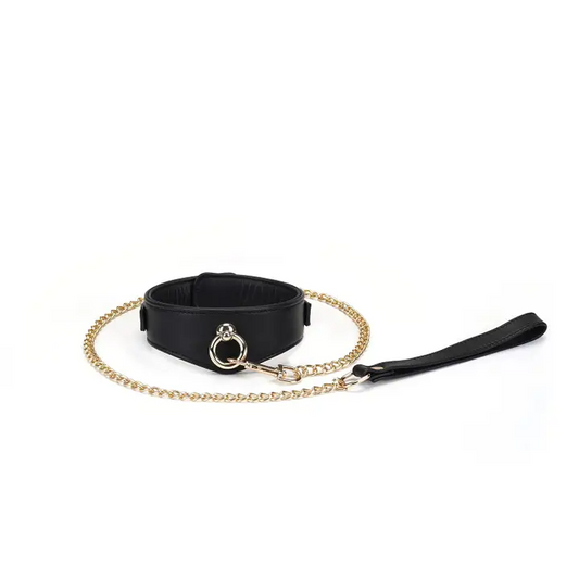 Dark Secret Curved Leather Collar With Lock