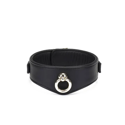 Dark Secret Curved Leather Collar With Lock