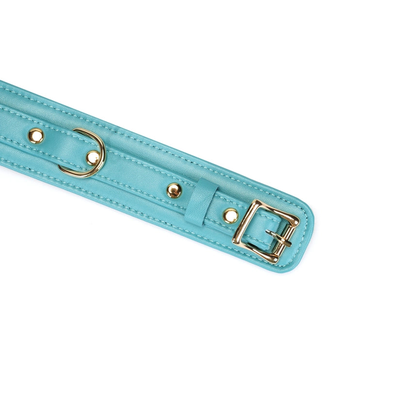 Valkyrie Vice Leather Collar and Leash