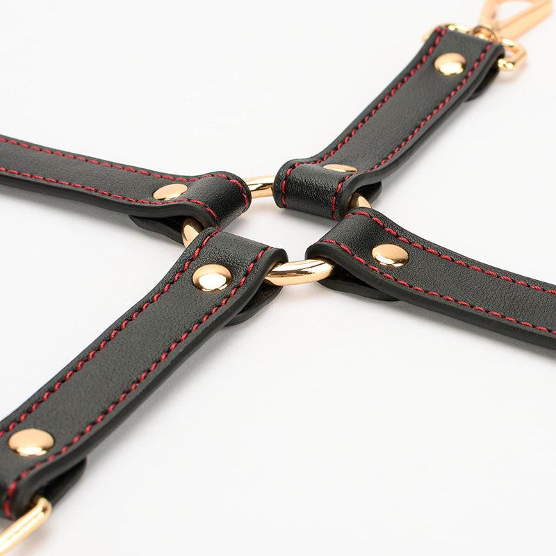 Dani Hogtie Connector