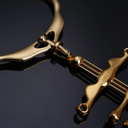Aurum Embrace Collar and Finger Restraint