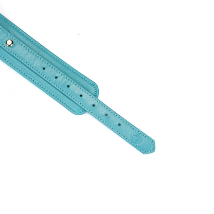 Valkyrie Vice Leather Wrist Restraint