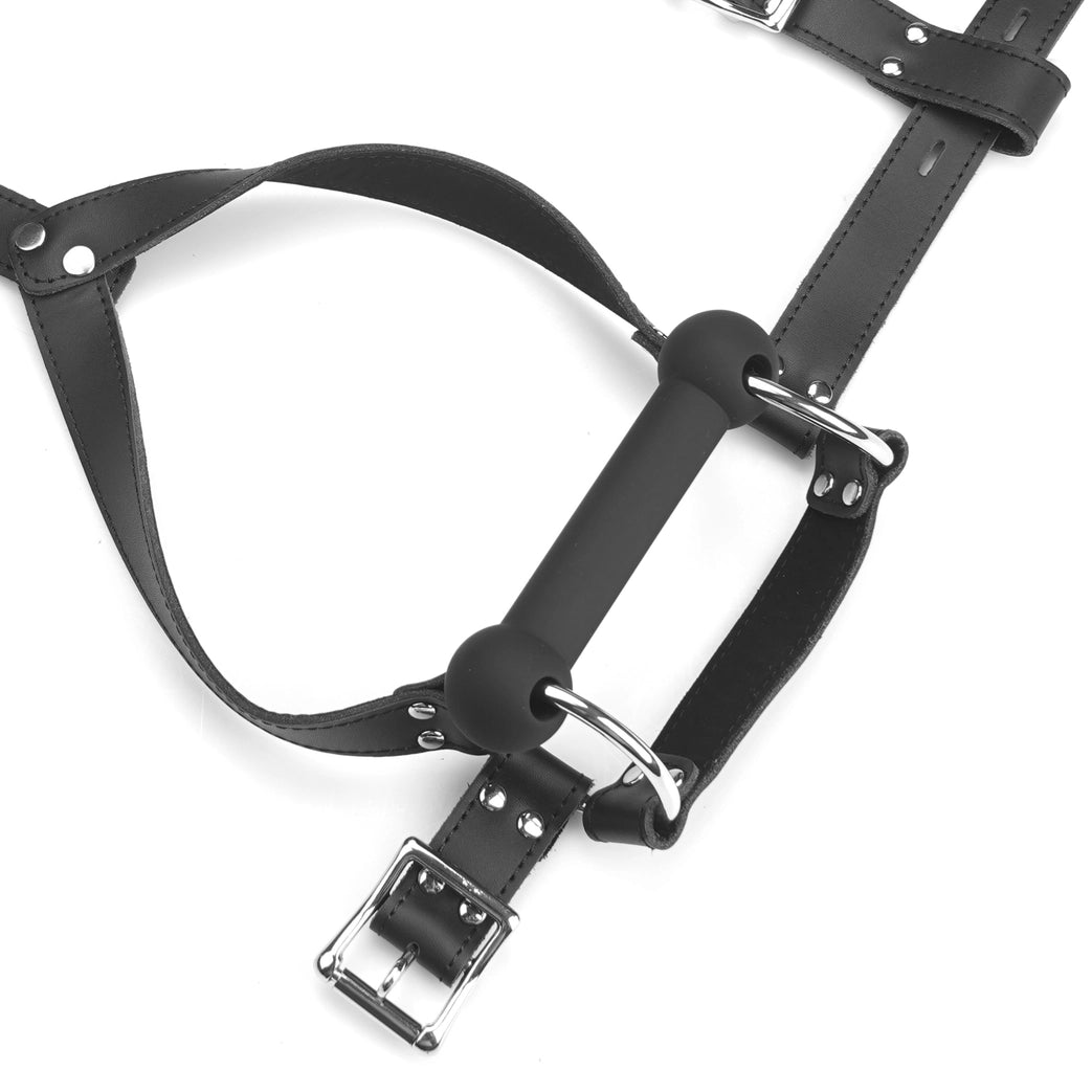 Le Souverin Bite Gag Head Harness