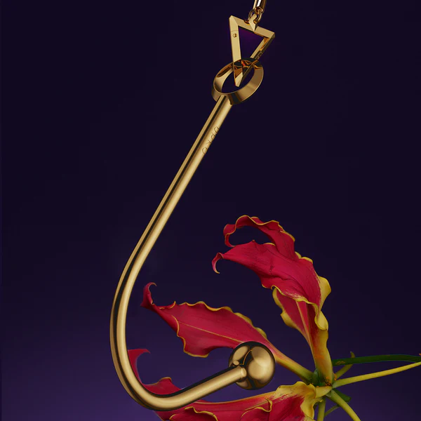 Discipline Vaginal/Anal Hook