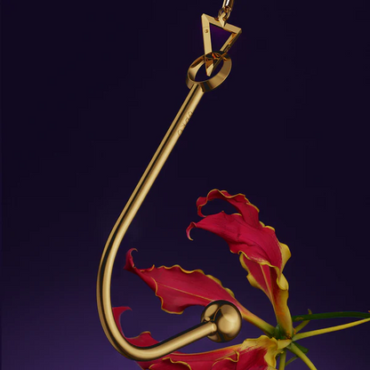 Discipline Vaginal/Anal Hook