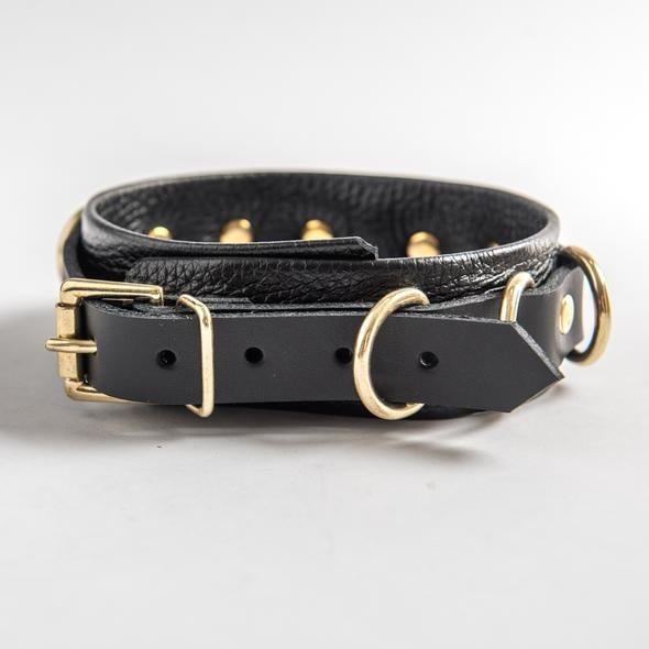 Aslan Black Panther Collar