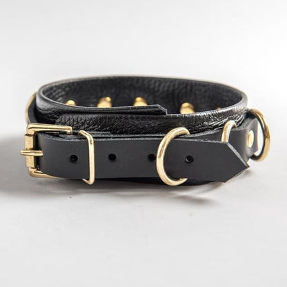 Aslan Black Panther Collar