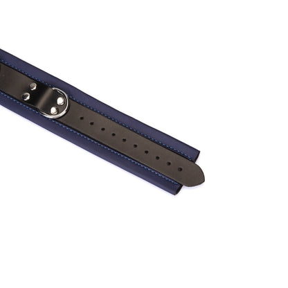 Dominion Leather Collar and Leash