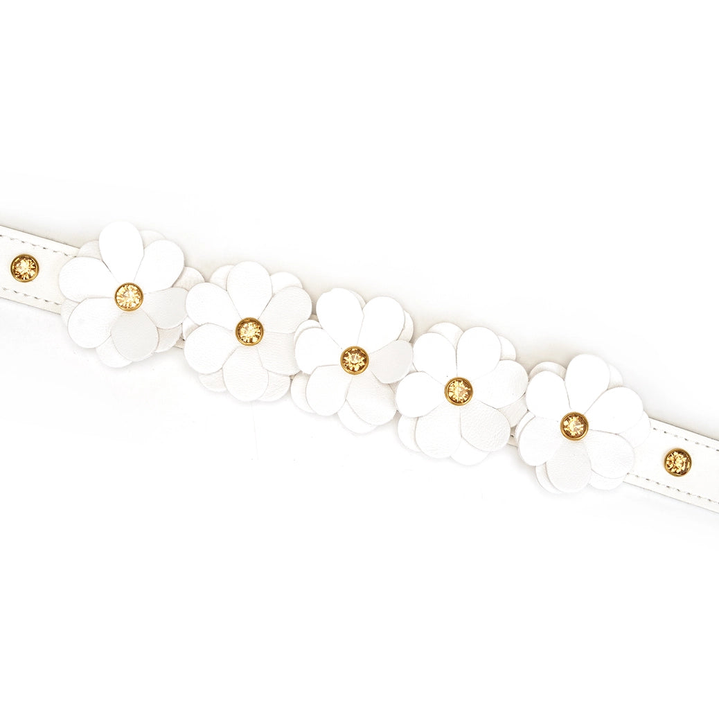 Snow Blossom Leather Collar and Leash