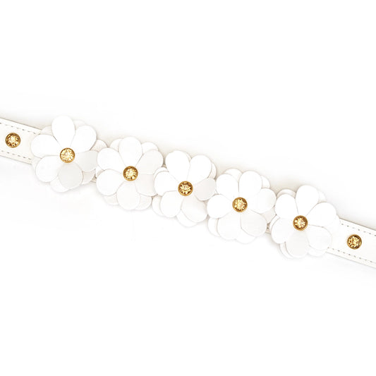 Snow Blossom Leather Collar and Leash