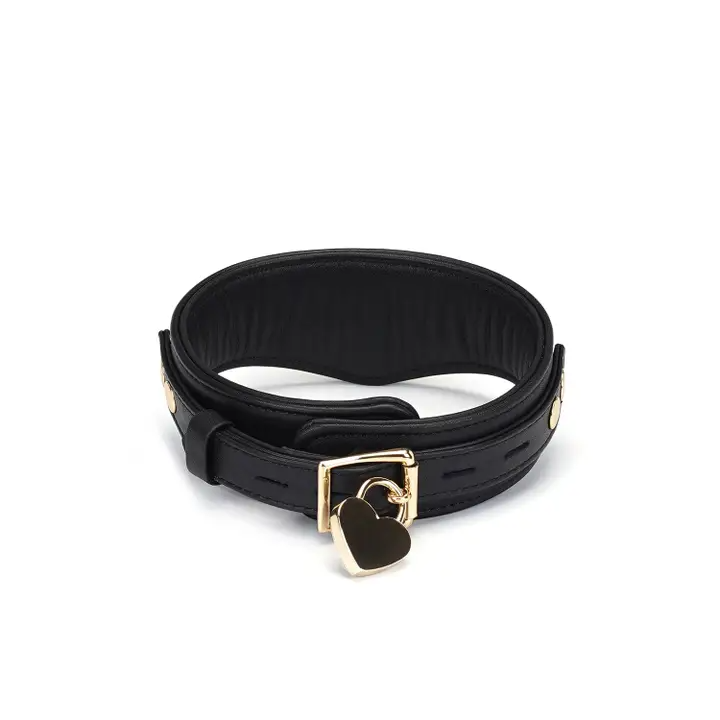 Dark Secret Curved Leather Collar With Lock