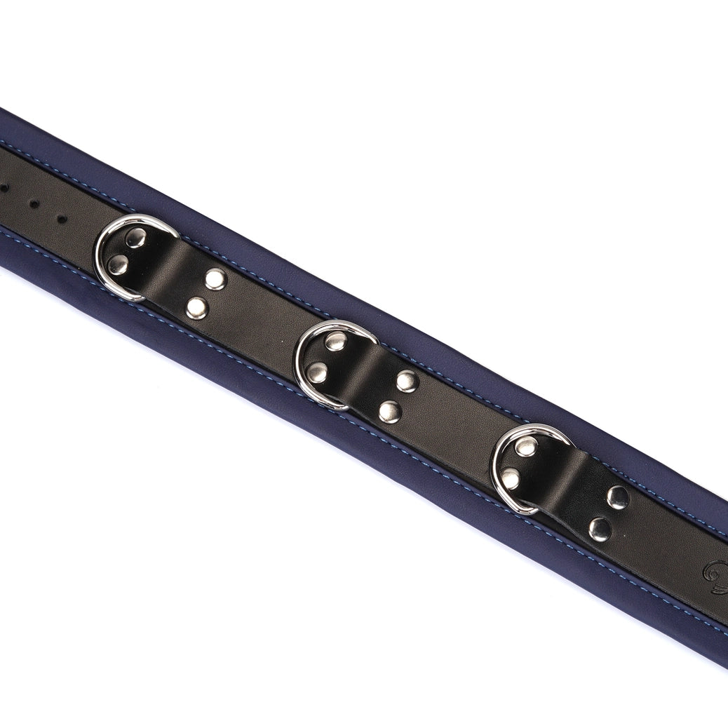 Dominion Leather Collar and Leash