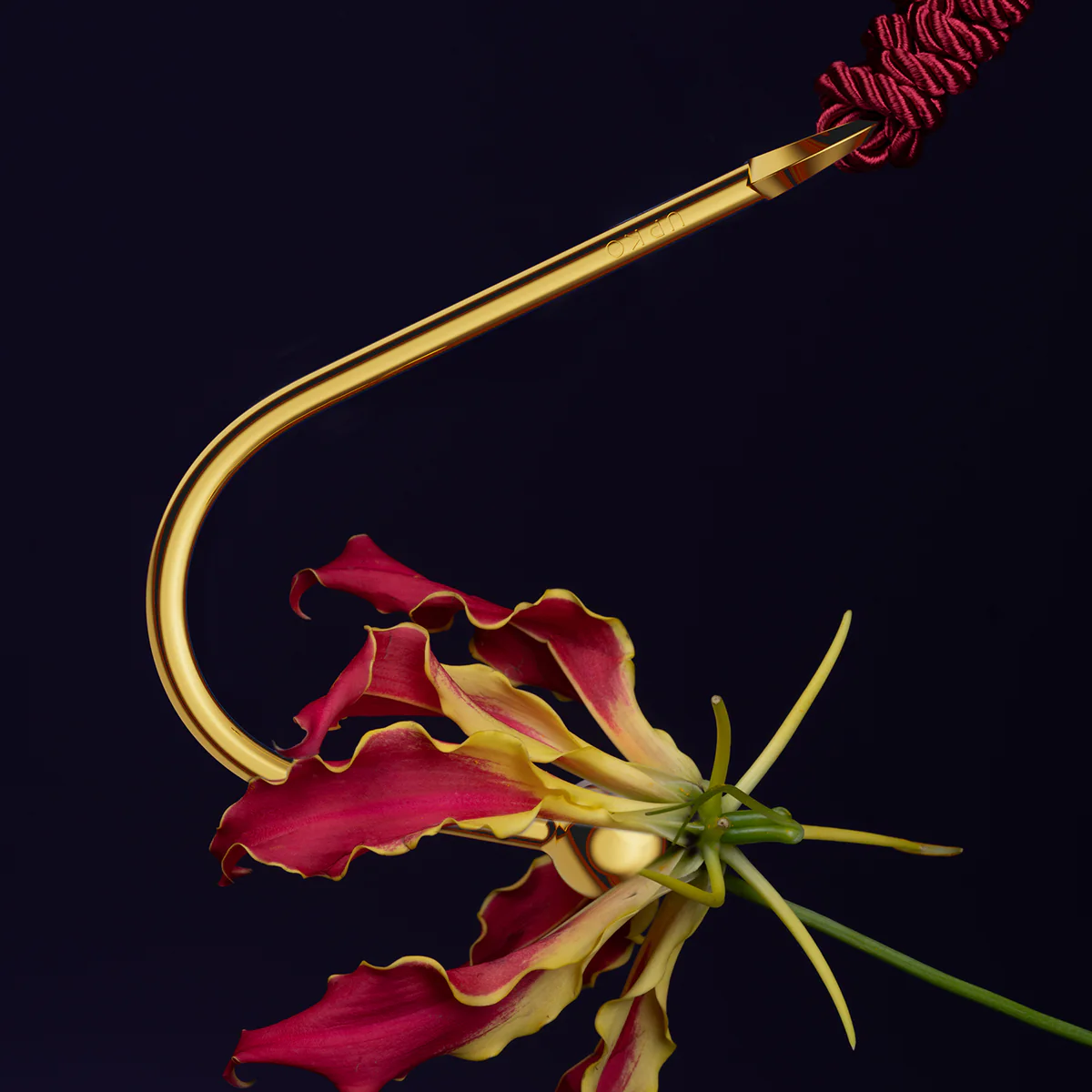 Discipline Vaginal/Anal Hook