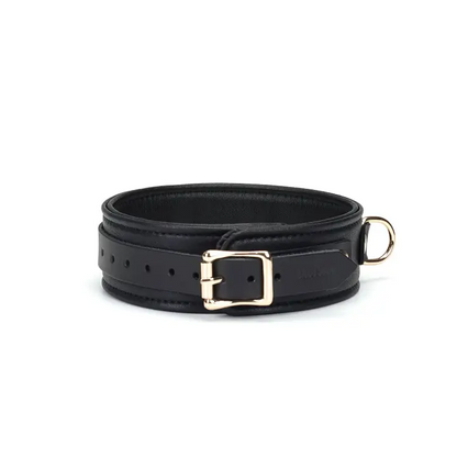 Dark Secret Leather Collar With Leash