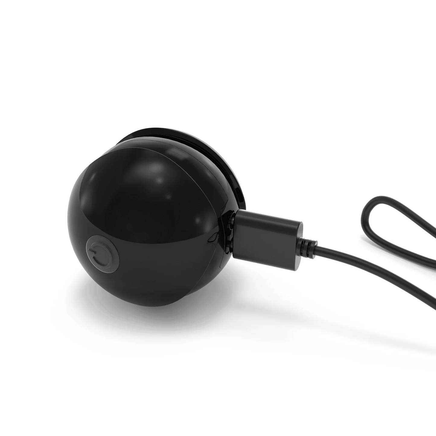 Remote Controlled Geisha Training Balls