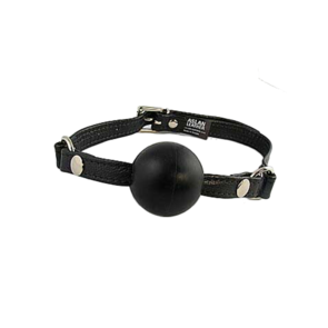 Aslan Silicone Ball Gag