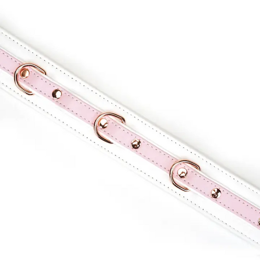 Fairy Leather Collar With Leash