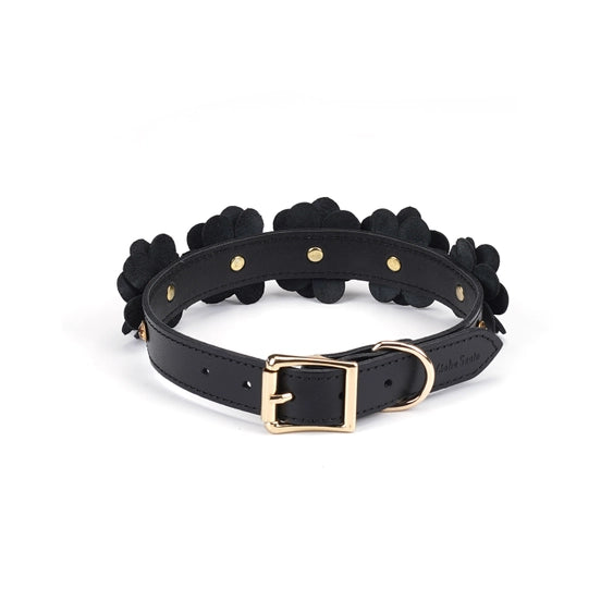 Night Blossom Leather Collar and Leash