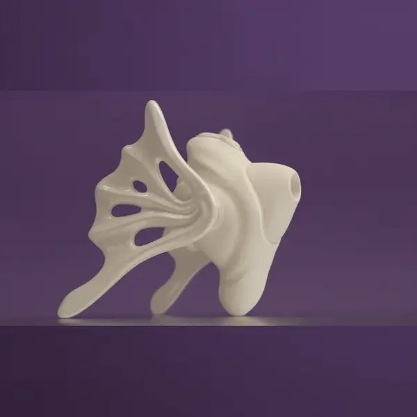 Conch Suction & Insertable Vibrator Set