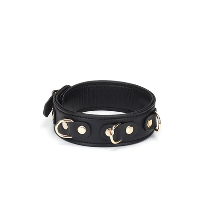 Dark Secret Leather Collar With Leash