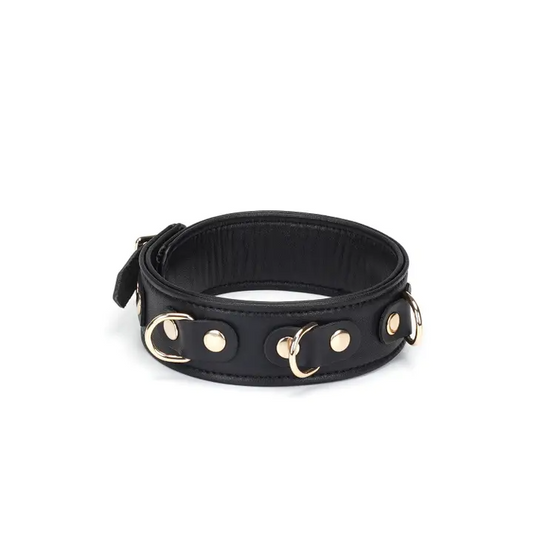 Dark Secret Leather Collar With Leash