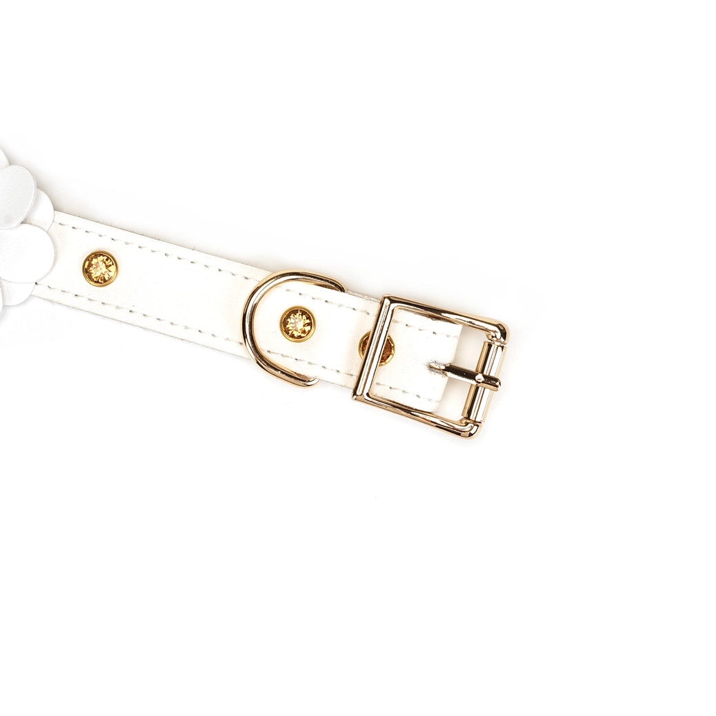 Snow Blossom Leather Collar and Leash