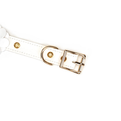Snow Blossom Leather Collar and Leash