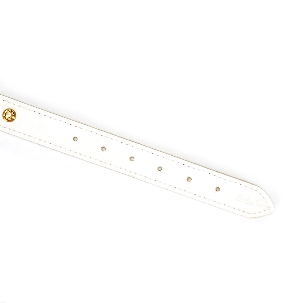 Snow Blossom Leather Collar and Leash