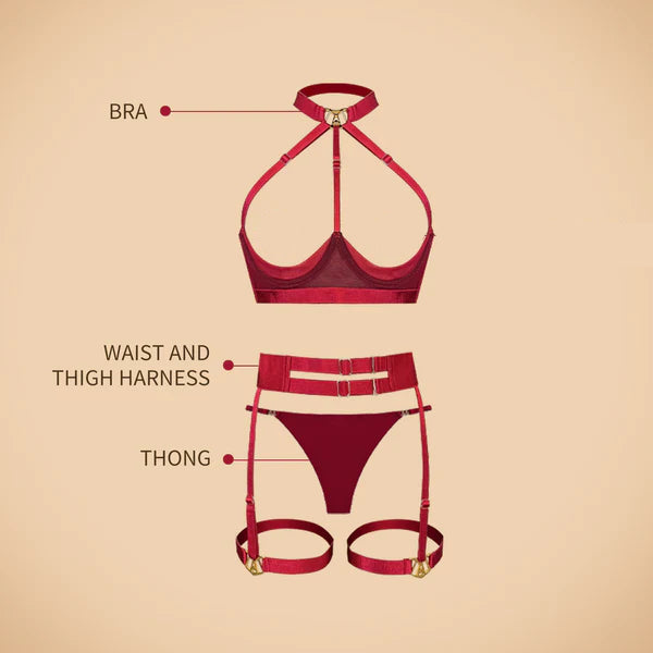 Bloodrose Bondage Lingerie Set