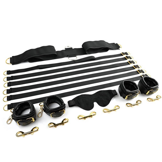 Bed Restraint System