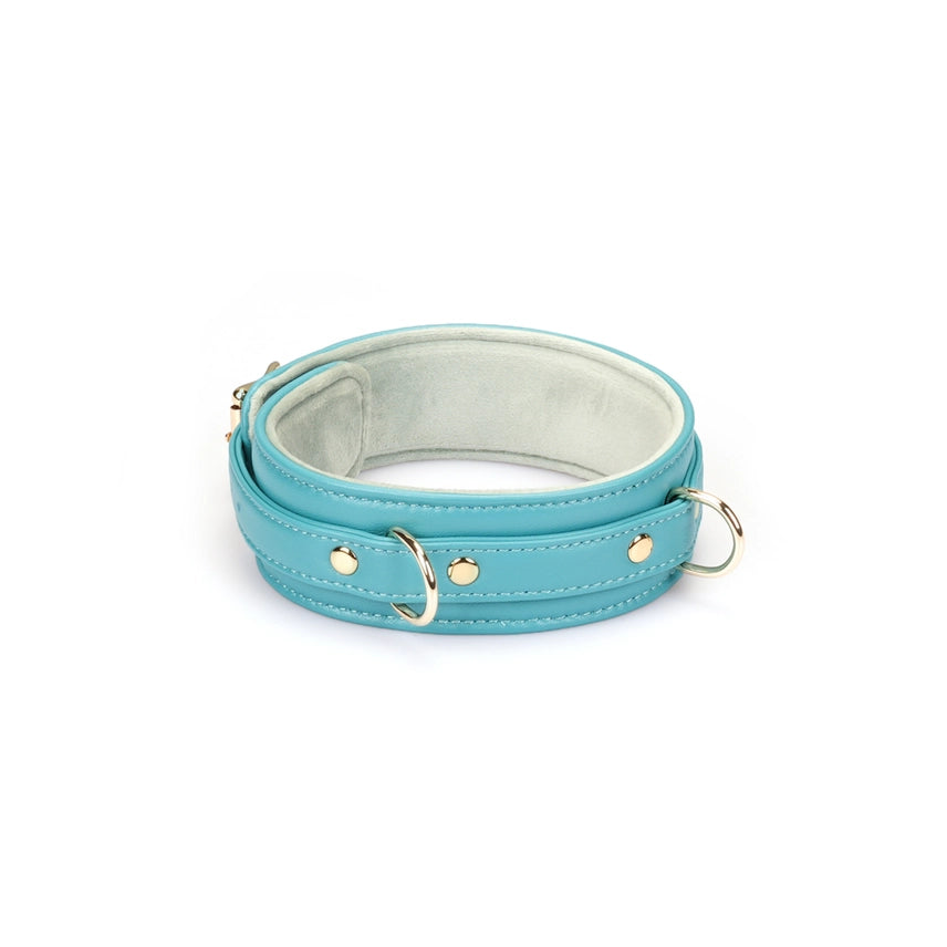 Valkyrie Vice Leather Collar and Leash