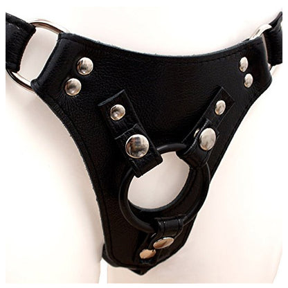 Aslan Leather Black Corset Harness