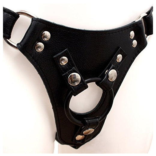 Aslan Leather Black Corset Harness