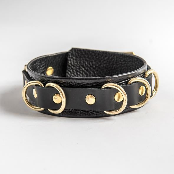 Aslan Black Panther Collar