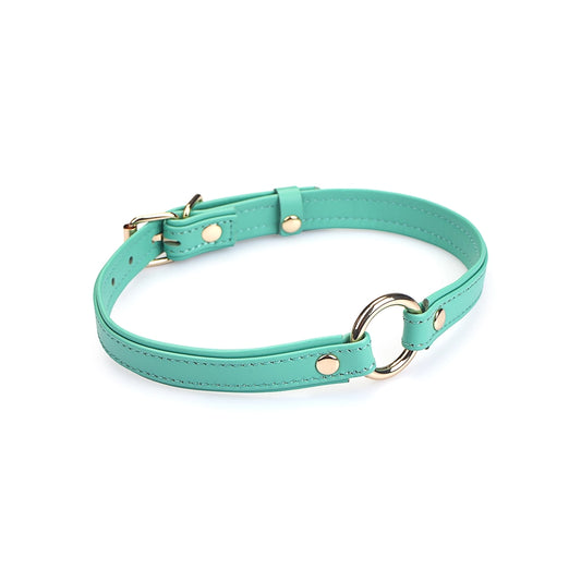 Heron Leather Mini O Ring Collar - Gold Hardware Aqua