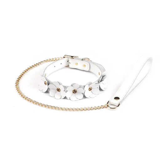 Snow Blossom Leather Collar and Leash
